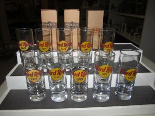 10 Hard Rock Cafe 4 " Tall Shot Glass Shooter Different Cities W/ 3 Boxes
