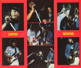 Lynyrd Skynyrd 1978 Band Poster 22x27