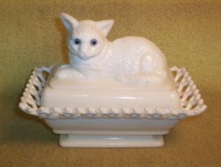 Vintage Westmoreland White Milk Glass Blue Eyed Cat On Lid Covered Lattice Dish