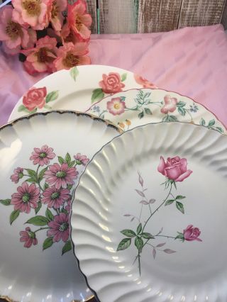 Vintage Set Of 4 Mismatched China Dinner Plates Pink And Green Florals.  256