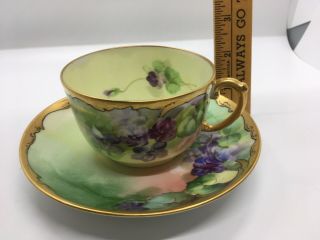 Antique Pickard Hand Painted Cup & Saucer D & Co.  France Enamel,  Wa Gilt Enamel
