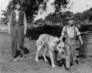 Old Yeller Tommy Kirk Kevin Corcoran And Yeller 8x10 Photo