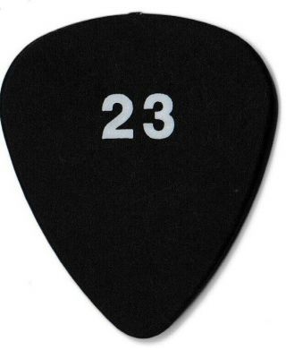 Pearl Jam Eddie Vedder tour guitar pick EV 23 grunge concert ticket t - shirt live 2