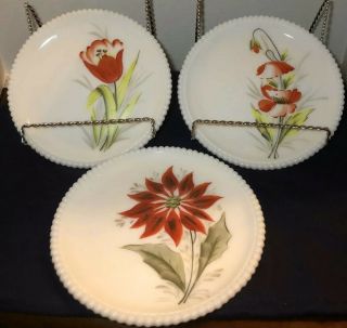 Westmoreland Milk Glass Set Of 3 Diff Red Flower Beaded Edge 7.  25 In Plates