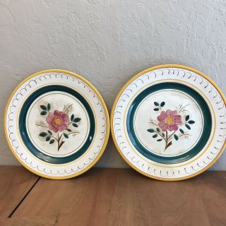 2 Vintage Stangl Pottery Terra Rose Pink Garden Flower Dinner Plates Made Usa