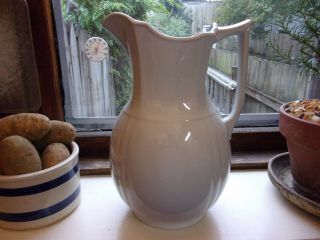 Lovely Antique White ironstone Alfred Meakin England Pitcher Farmhouse 3