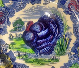 Antique Porcelain Turkey Plate Wood ' s Burslem England Deep Blue & Colors 2