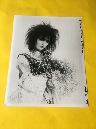 Siouxsie & The Banshees Press Photo 8x10,  Siouxsie Sioux.