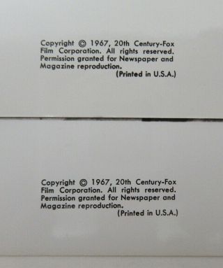 2 Vintage 1967 (8x10) Movie Press Photos ONE MILLION YEARS BC Harryhausen wz8877 3