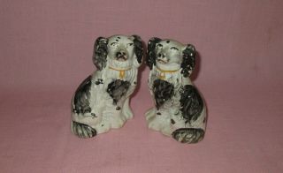 Antique 19th C Staffordshire Porcelain Ceramic Pair Seated Spaniel Dog Figures