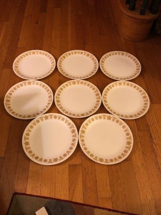 Set Of 8 Vintage Corelle Butterfly Gold Dinner Plates 10 1/4 " Corning