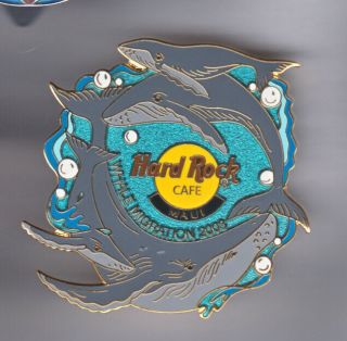 Hard Rock Cafe Pin: Maui 2003 Whale Migration Le500