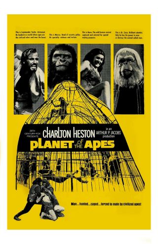Planet Of The Apes Movie Poster 11x17 In / 28x43 Cm Charlton Heston Kim Hunter