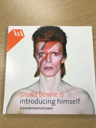 Ziggy Stardust - David Bowie Is V & A Exhibition Post Cards