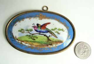 Antique French Sevres Style Bird Painted Blue Gold Porcelain Plaque Ormolu 1900