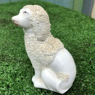 MID 19thC STAFFORDSHIRE POODLE DOG WITH APPLIED CHIPPED DECORATION c1850s 8
