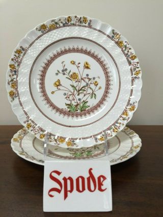 Copeland Spode Buttercup 9 " Luncheon Plate Old Stamp Pair