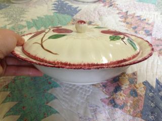 Blue Ridge Pottery Vintage Dishes Cherry Crab Apple Bowl With Lid Soup 8