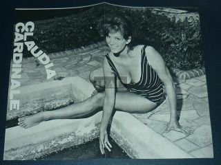 Claudia Cardinale Double - Sided 1965 Vintage Japan Pinup Poster 10x12 Ss4