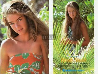 Brooke Shields The Blue Lagoon 1980 Japan Picture Clippings 2 - Sheets Oa/t