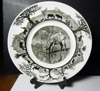 Wedgwood Kruger National Park,  Waterbuck Dinner Plate W/map