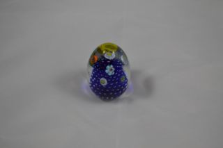 Egg Shaped Paperweight Controlled Bubbles Cobalt Floating Flowers Gorgeous