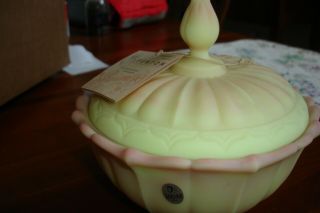 Fenton Hand - Painted Burmese Candy Dish Signed By Shelly Fenton With Tag