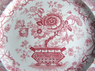 Antique Staffordshire Pearlware Red Transferware Plate JAPANESE Alcock Floral 2