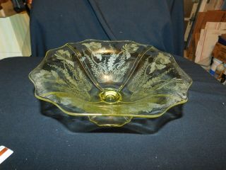 Antique Cambridge Glass " Gloria ",  Topaz Yellow,  11 " Footed Bowl,  Ex Cond