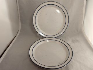 Set Of 2 Dansk Blue Mist 10” Dinner Plates
