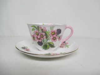 Shelley Blackberry Bramble Teacup And Saucer