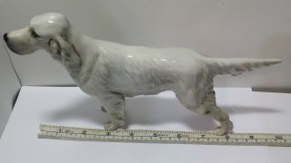 BESWICK ENGLISH SETTER BAYLDONE BARONET Porcelain Figurine Approx.  9 Inches Long 3