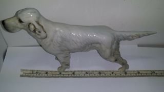 BESWICK ENGLISH SETTER BAYLDONE BARONET Porcelain Figurine Approx.  9 Inches Long 6