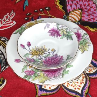 Royal Albert Flower of the Month Series Tea Cup Saucer Plate Set Chrysanthemum 6