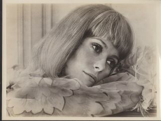 Catherine Deneuve Face Closeup In The Young Girls Of Rochefort 1967 Photo 28643