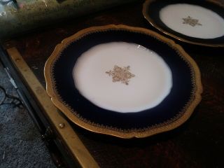 Set Of 3 Theodore Haviland Limoges 9 " Dinner Plates Colbalt And Gold Snowflake