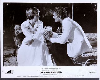 Julie Andrews And Omar Sharif In The Tamarind Seed 1974 Movie Photo 28406