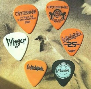 Whitesnake And Winger 6 - Guitar Pick Mashup