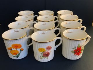 Bohemia Flower Of The Month Porcelain Coffee Mug - Complete Set Of 12