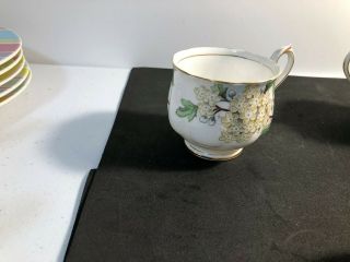 Royal Albert Flower of the Month Series set of 5 Cups Pre - owned 6