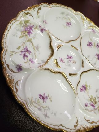 Antique Theodore Haviland Limoges Porcelain Oyster Plate Purple Foral Gold Trim 3