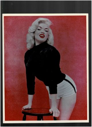 8 X10 Color Photo Of - Sexy - Hot - Jayne Mansfield - In Shorts