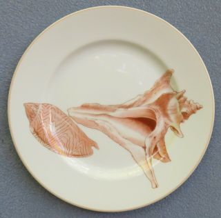 FOUR Fitz and Floyd Coquille Shell Salad Plates 2