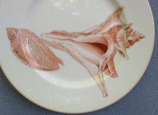 FOUR Fitz and Floyd Coquille Shell Salad Plates 3