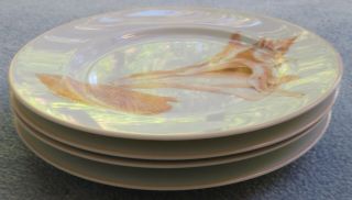 FOUR Fitz and Floyd Coquille Shell Salad Plates 6