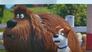 The Secret Life of Pets 2 2019 Korean Mini Movie Posters Movie Flyers (A4 Size) 5