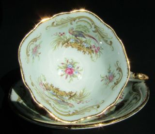 Paragon Antique Series Teacup And Saucer - Swansea