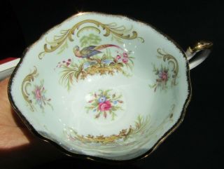 Paragon Antique Series Teacup and Saucer - Swansea 8