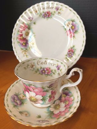 Royal Albert Flower Of The Month Teacup Saucer Luncheon Plate Euc October Cosmos