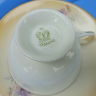 Antique R.  S.  Prussia Royal Silesia Porcelain HOT CHOCOLATE TEA POT CUPS SAUCERS 7